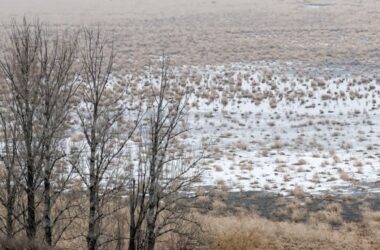 Окупанти знищили вже друге водосховище заради “водопостачання” Макіївки. Викачування води не допомогло