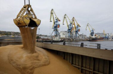 Минулого року окупанти вивезли понад два млн тонн українського зерна під виглядом “російського” за кордон