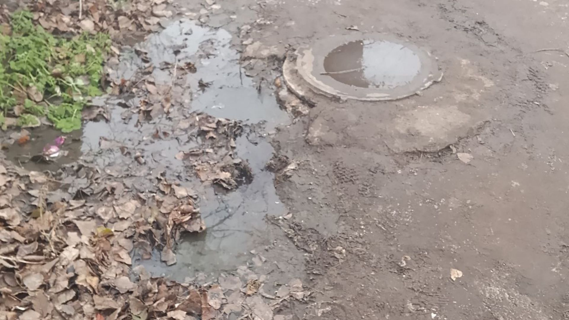 Прикраси поставили, а каналізацію забули. Луганчани вимагають відремонтувати колектор на городку заводу ОР