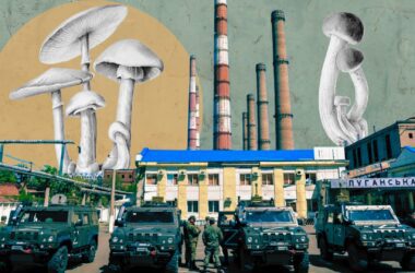 Охоронець “Луганської АЕС”, якої не існує, та інші вакансії, якими заманюють на війну проти України