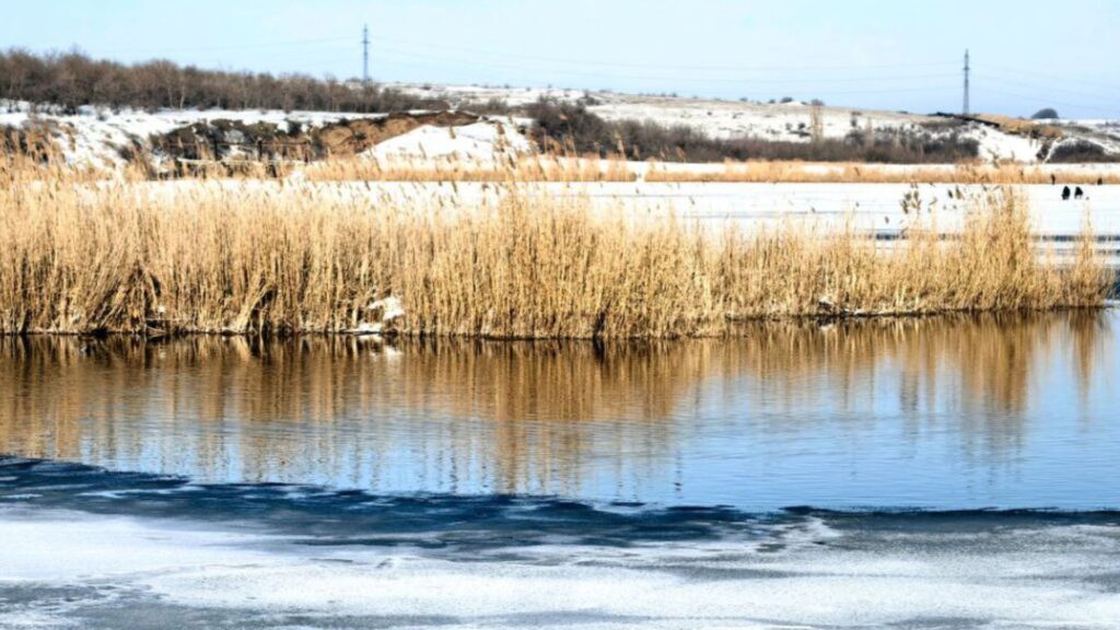В окупованому Алчевську показали Орлові ставки — водойми наповнилися водою