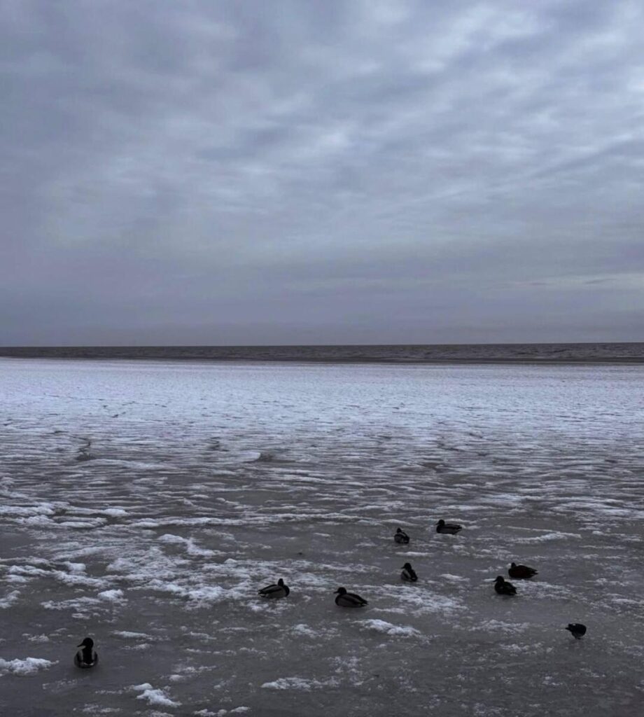 У соцмережах опублікували фото Азовського моря в Донецькій області