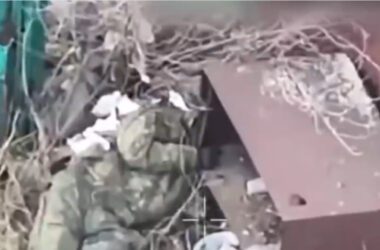 Збройні сили України знищили два взводи російських окупантів у Часовому Яру