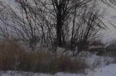 У мережі показали фото териконів Донеччини за січень 2024 року