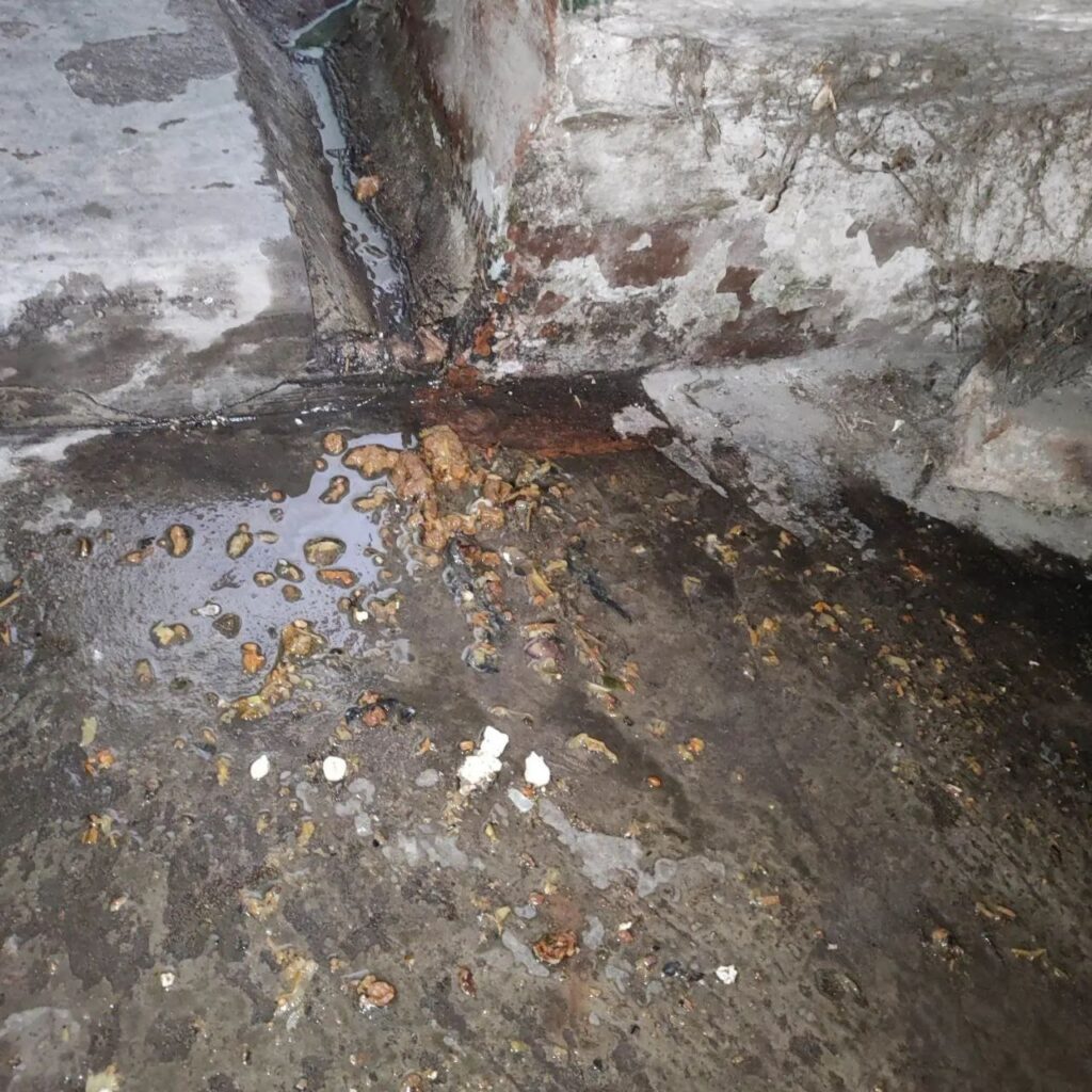 У Макіївці будинок тоне в каналізаційних стоках, водоканал не реагує &mdash; місцеві мешканці