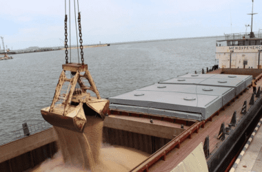 Окупанти вивезли з порту Маріуполя п’ять тонн вкраденого зерна з початку року