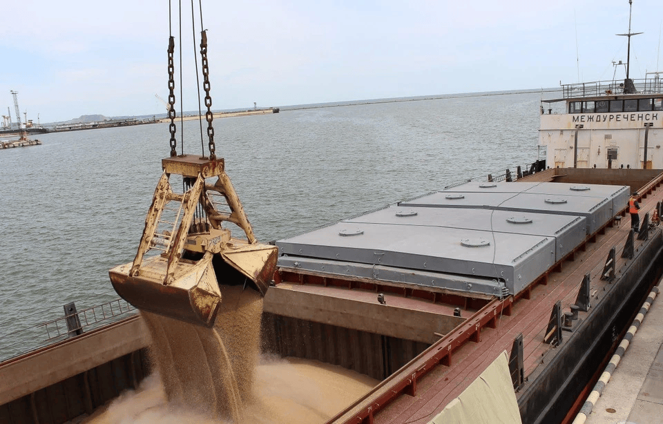 Окупанти вивезли з порту Маріуполя п’ять тонн вкраденого зерна з початку року