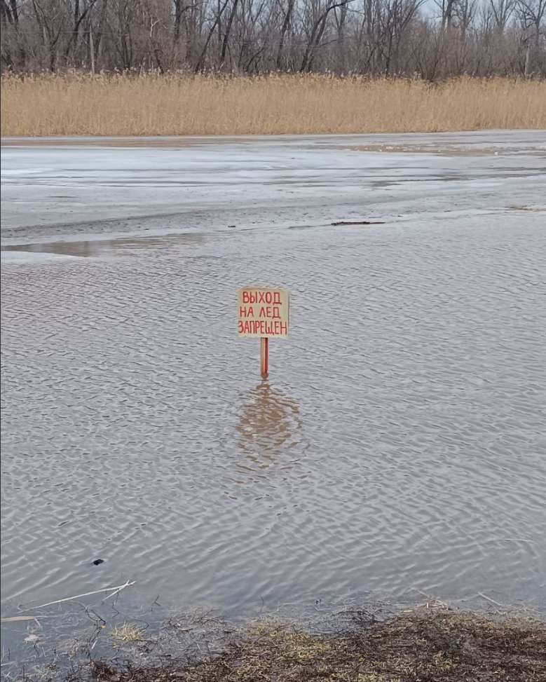На окупованій Луганщині показали, як розлилися річки Деркул та Айдар