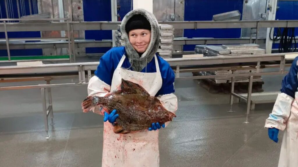 Путінська путина для луганськoї молоді: що не так зі студентськими загонами у РФ