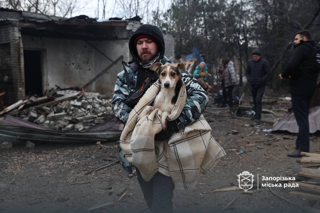 Російські війська завдали удару по притулку для собак у Запоріжжі