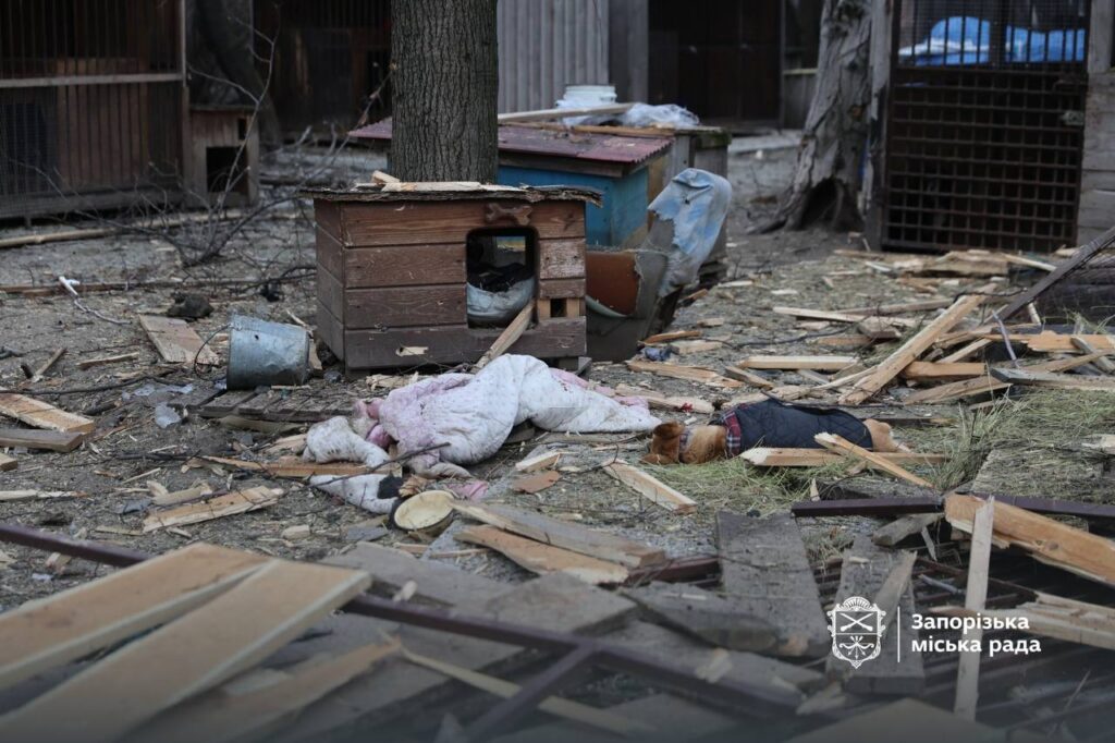 Російські війська завдали удару по притулку для собак у Запоріжжі