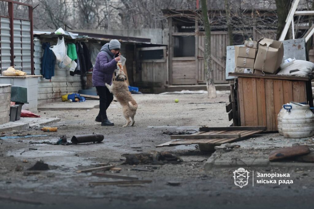 Російські війська завдали удару по притулку для собак у Запоріжжі