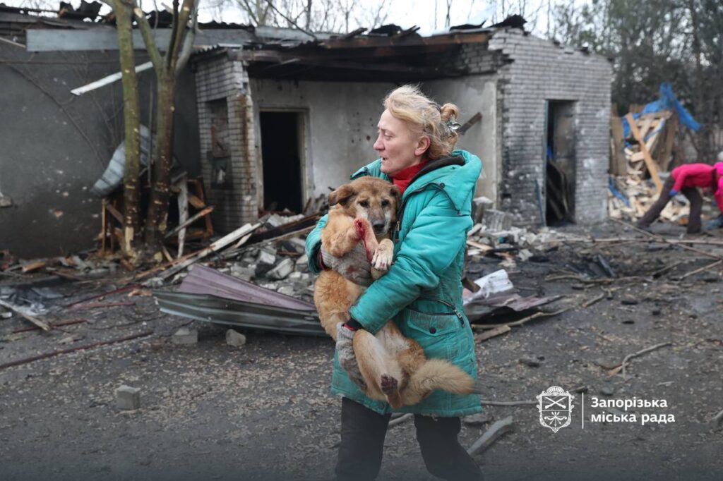 Російські війська завдали удару по притулку для собак у Запоріжжі
