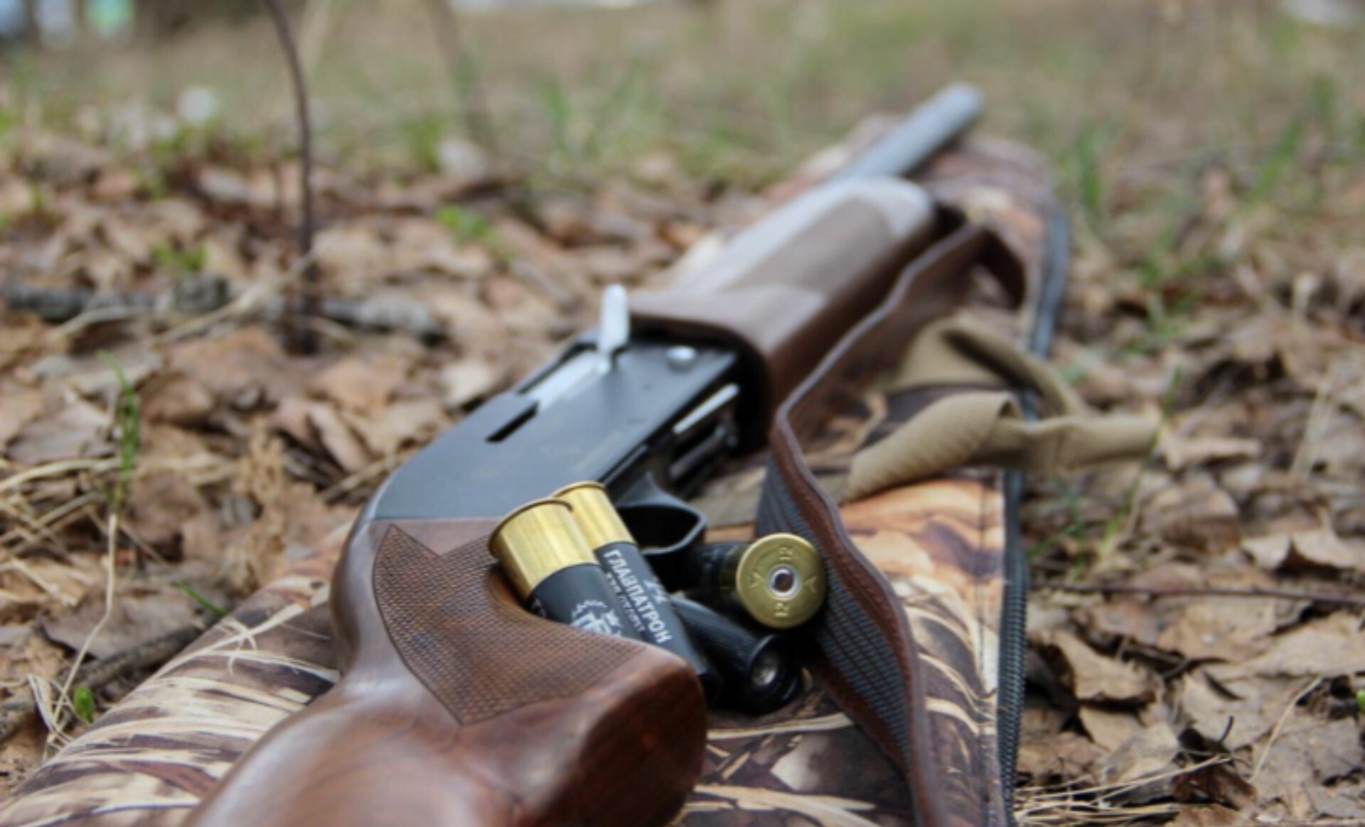 На окупованій Луганщині в низці районів дозволили відстрілювати диких тварин