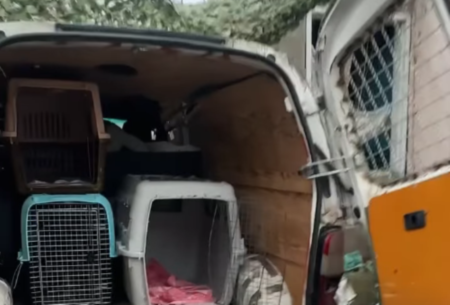 Росіяни вдарили FPV-дроном по евакуаційному автомобілю зооволонтерів (ВИПРАВЛЕНО)