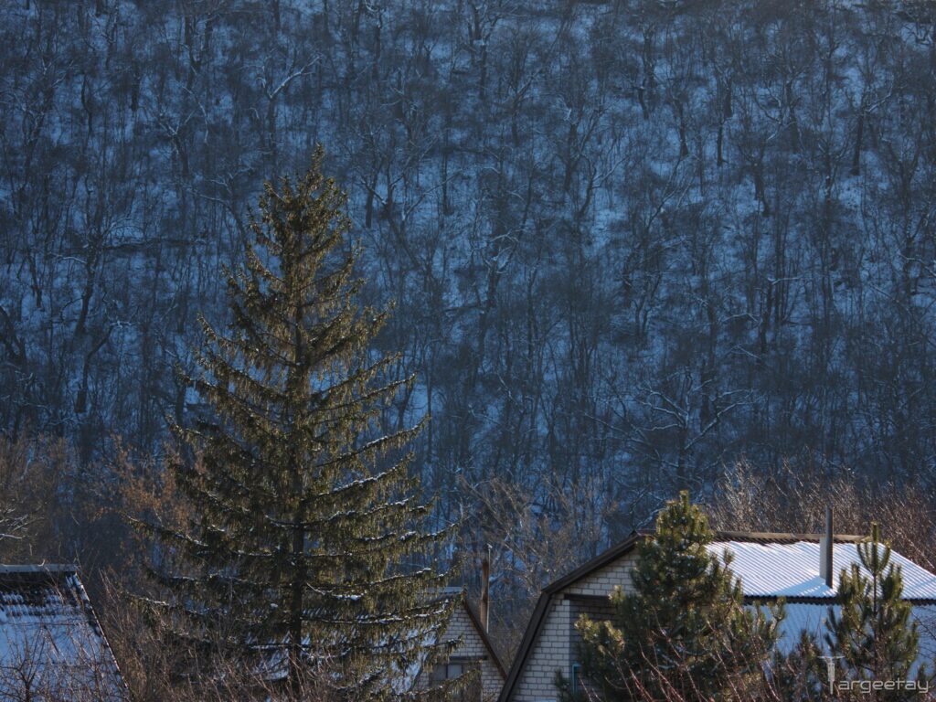 На окупованій Луганщині показали Мар&rsquo;їн стрімчак &mdash; скелю, відому як “Кам&rsquo;яний замок”
