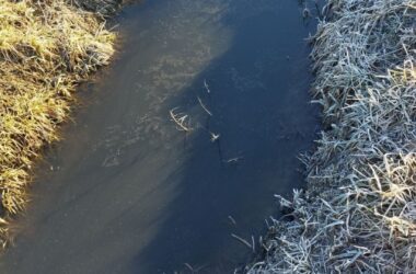 В Луганську нечистоти зливають в річку. Опубліковане відео