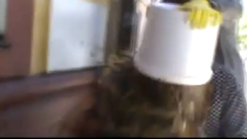 “Експерт” Снєгирьов атакує “Реальну газету”. Хто він?