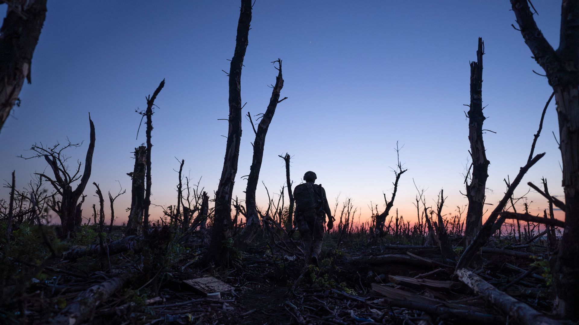 Фільм “2000 метрів до Андріївки” отримав дві кінопремії у США