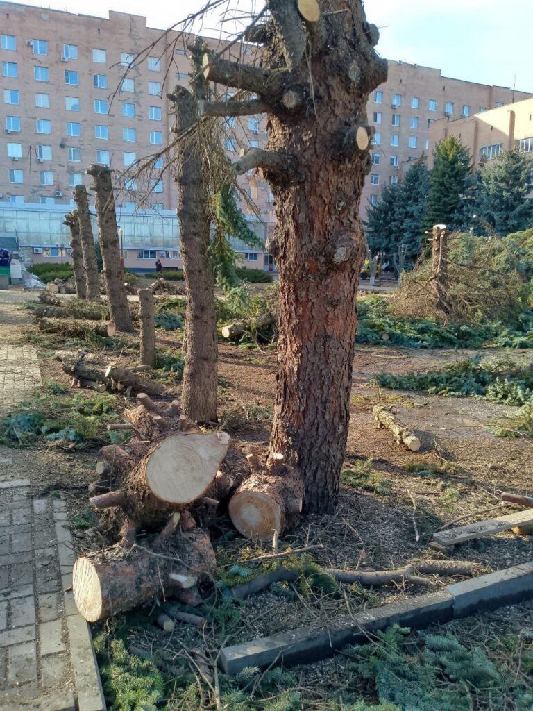 В окупованому Луганську біля колишньої обласної лікарні спиляли ялинки. Опубліковані фотографії